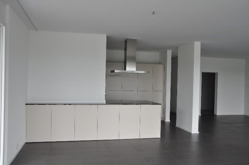 Exklusive grosse Terrassenwohnung - Wohnfläche 203 m2 (15)