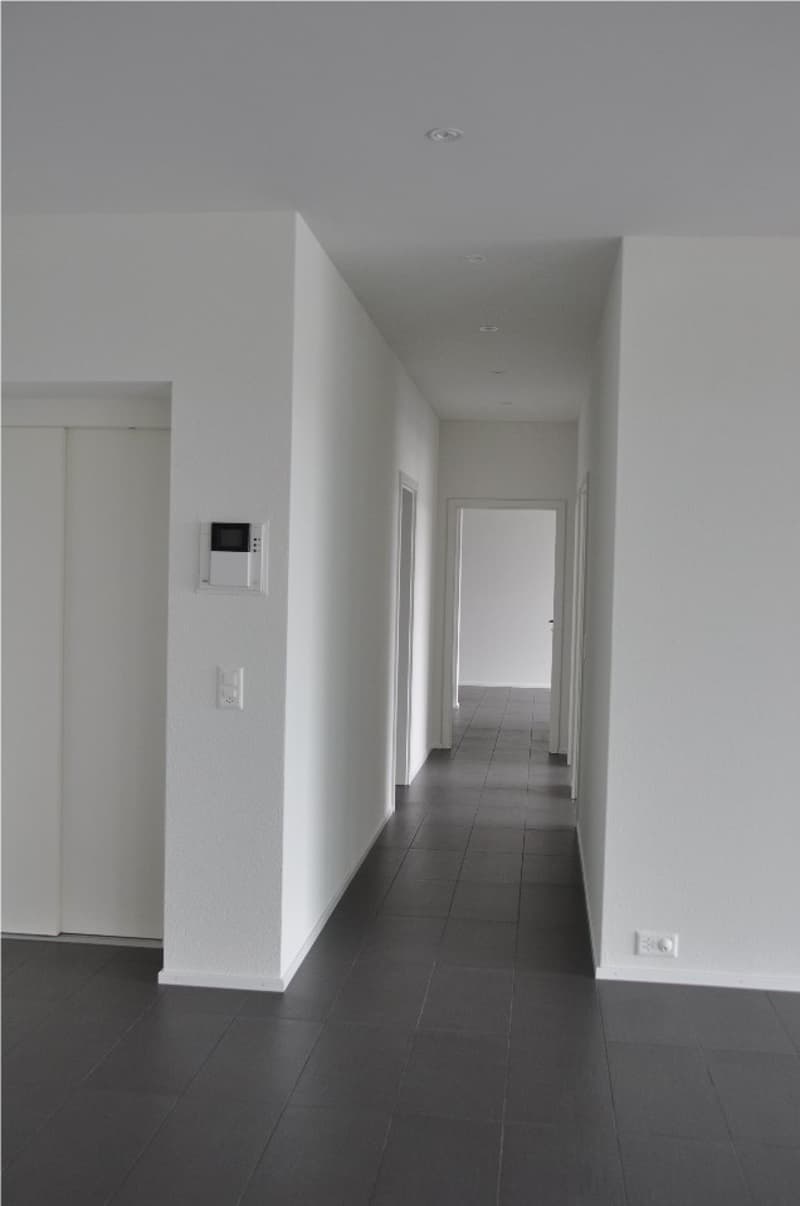 Exklusive grosse Terrassenwohnung - Wohnfläche 203 m2 (18)