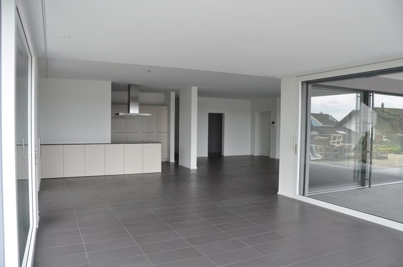 Exklusive grosse Terrassenwohnung - Wohnfläche 203 m2 (13)