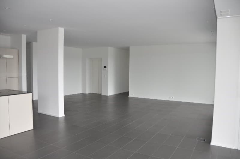 Exklusive grosse Terrassenwohnung - Wohnfläche 203 m2 (14)