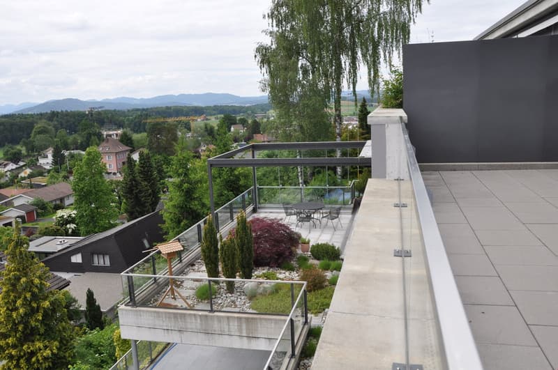 Exklusive grosse Terrassenwohnung - Wohnfläche 203 m2 (1)