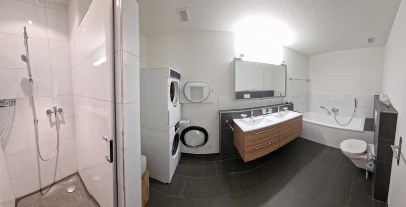 4.5 Zimmer-Wohnung im Obergeschoss in Wangen bei Olten – Minergie-zertifiziert (8)