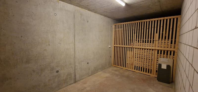 4.5 Zimmer-Wohnung im Obergeschoss in Wangen bei Olten – Minergie-zertifiziert (10)