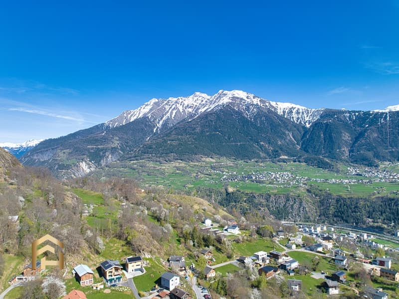 DJI_0603