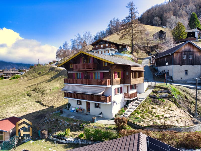 Wohnen mit Aussicht Sonnige 4.5 ZWG Wohnung im idyllischen Ergisch (13)
