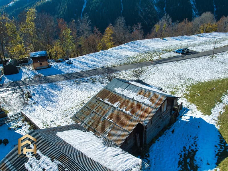 DJI_0294