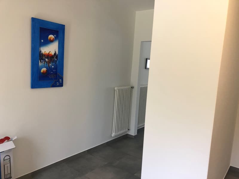 2.5 Zi-Ferienwohnung in Ascona neuwertig ausgebaut (5)