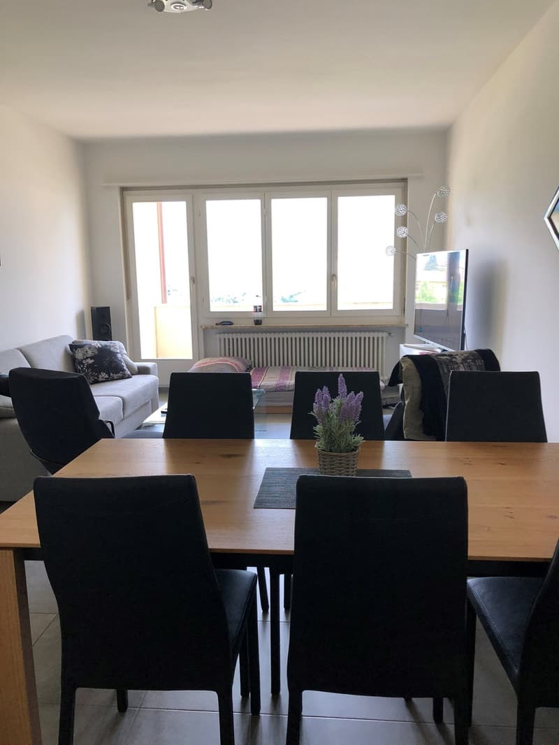 2.5 Zi-Ferienwohnung in Ascona neuwertig ausgebaut (2)