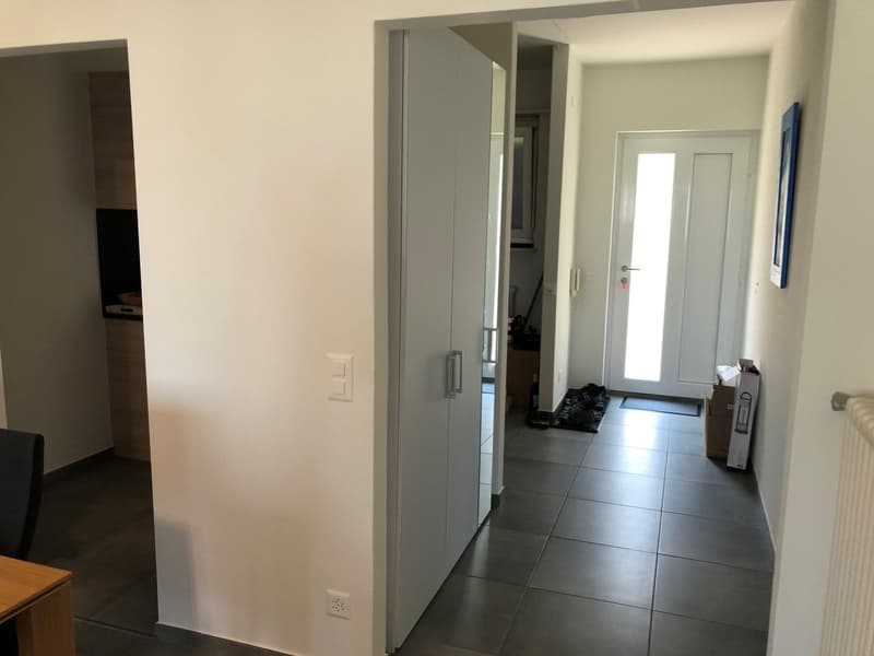 2.5 Zi-Ferienwohnung in Ascona neuwertig ausgebaut (8)