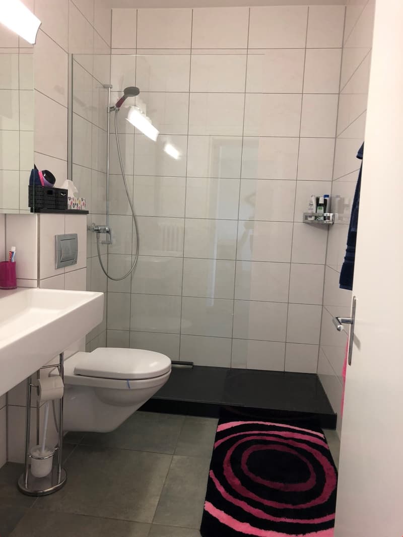 2.5 Zi-Ferienwohnung in Ascona neuwertig ausgebaut (7)
