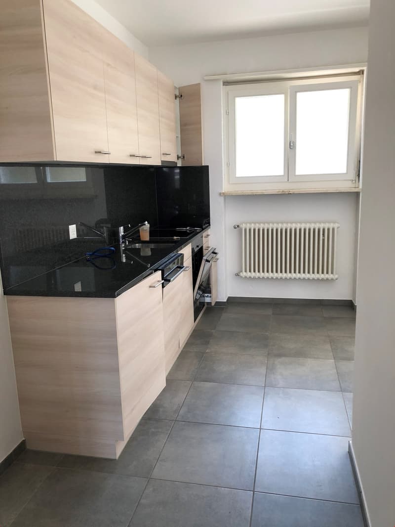 2.5 Zi-Ferienwohnung in Ascona neuwertig ausgebaut (11)