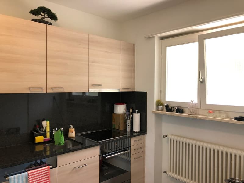 2.5 Zi-Ferienwohnung in Ascona neuwertig ausgebaut (12)