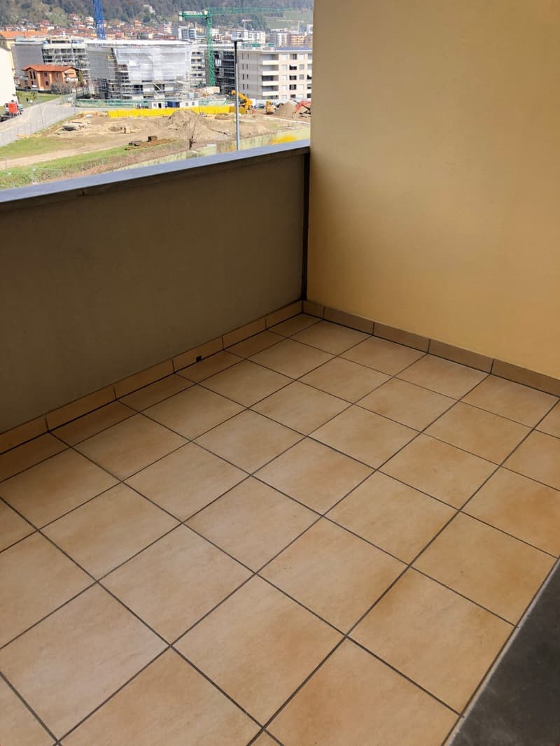 2.5 Zi-Ferienwohnung in Ascona neuwertig ausgebaut (13)