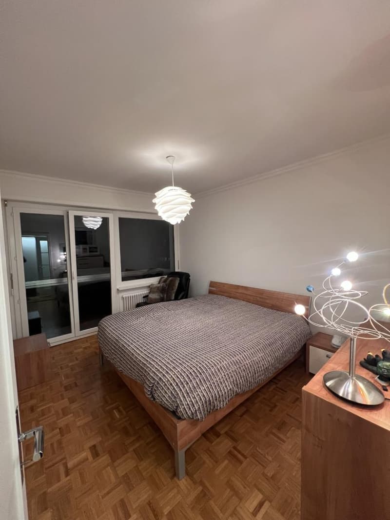A louer, appartement lumineux de 5.5 pièces en duplex à Pully (3)
