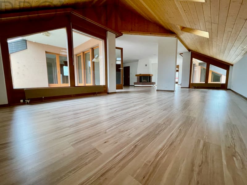 Penthouse - tolle Aussicht - 265m² pure Freiheit - neuer Preis!