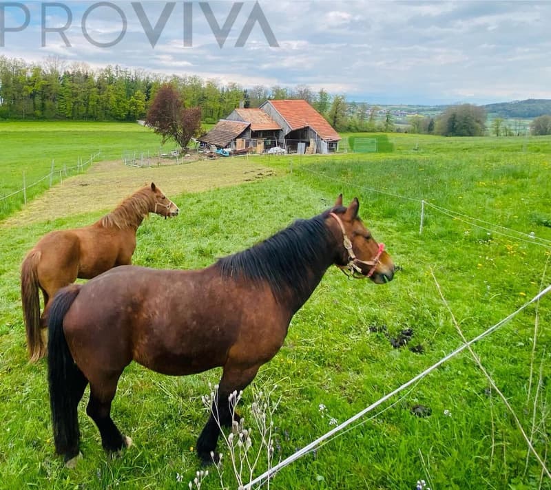 Ferme transformé - prix attractif (2)