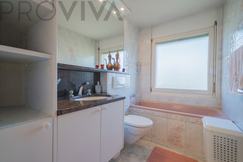 Casa luminosa in un quartiere residenziale tranquillo vicino a Solothurn (13)
