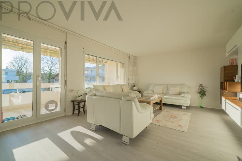 Casa luminosa in un quartiere residenziale tranquillo vicino a Solothurn (2)