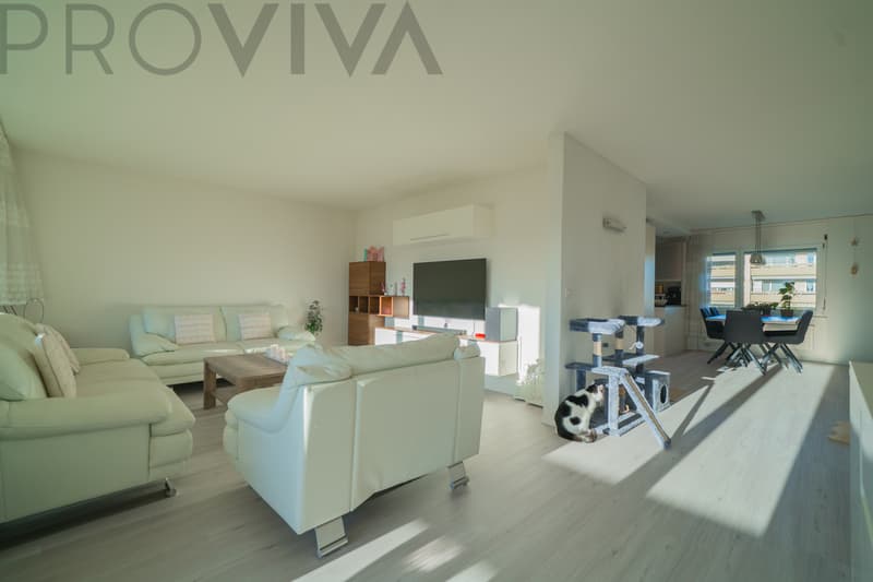 Casa luminosa in un quartiere residenziale tranquillo vicino a Solothurn (3)