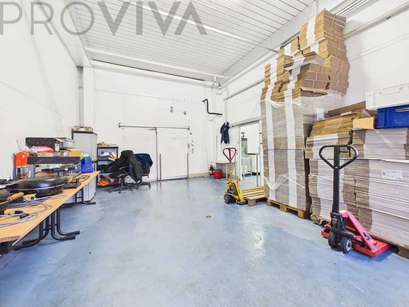 Halle, Mietwohnung & Unternehmen - Komplettpaket (4)