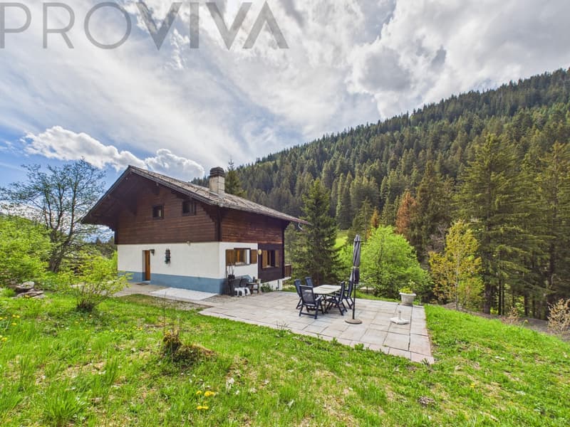 Alpines Wohnglück - Chalet mit Wellness-Oase und Bergblick (3)