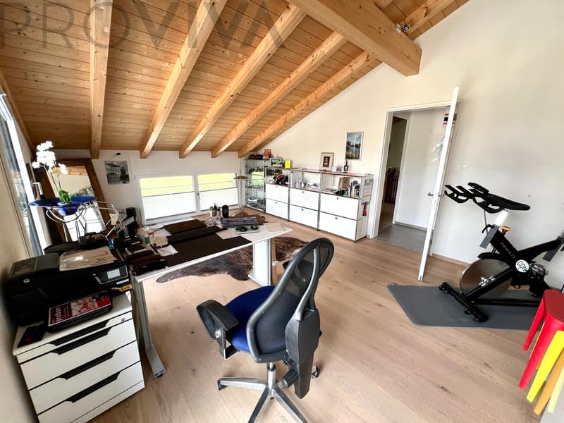 Helle und moderne Dachwohnung mit Alpenblick (5)