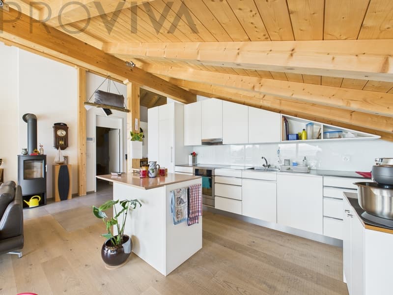 Helle und moderne Dachwohnung mit Alpenblick (3)