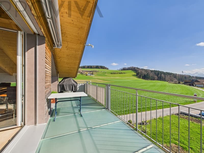 Helle und moderne Dachwohnung mit Alpenblick (4)