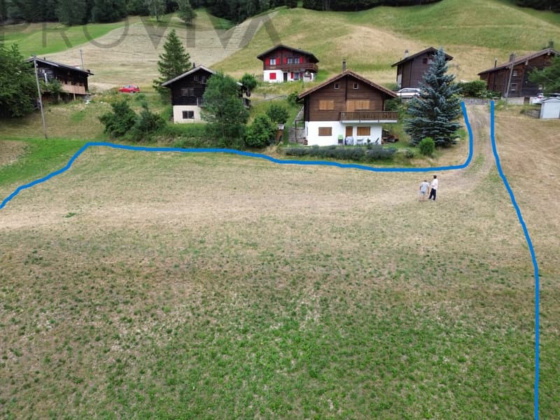 2'769 m² Bauland im Herzen des Goms (2)