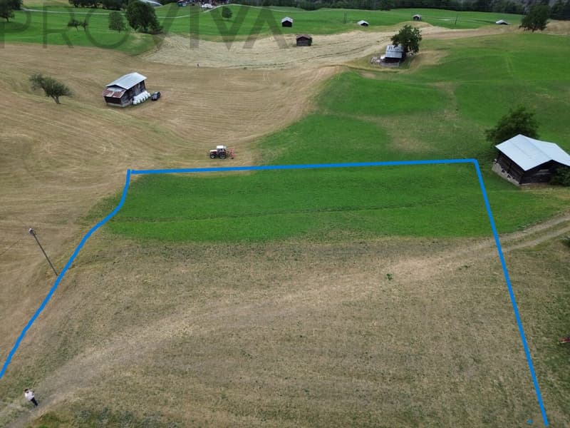2'769 m² Bauland im Herzen des Goms (3)