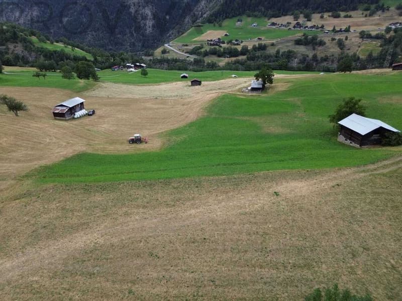 2'769 m² Bauland im Herzen des Goms (4)