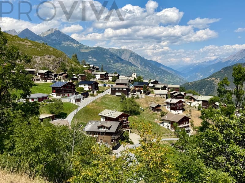 Südansicht Zeneggen