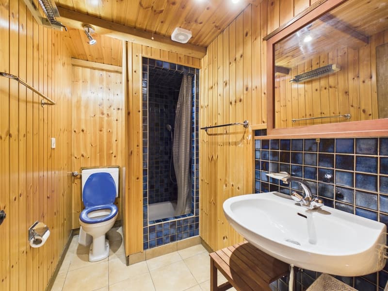 Saniertes Studio, ruhige Terrasse - Crans-Montana (7)