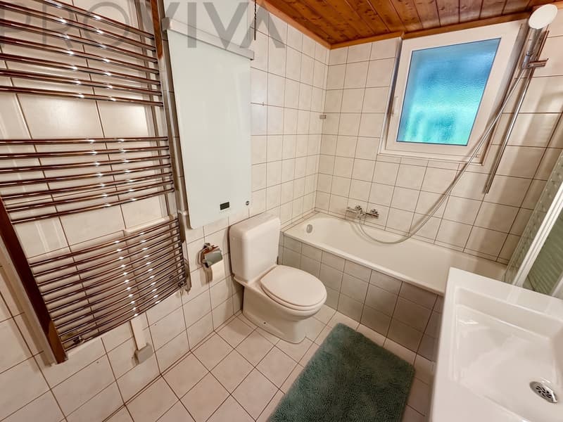 Badewanne mit Duschwand / Fenster / Baignoire avec paroi de douche / fenêtre