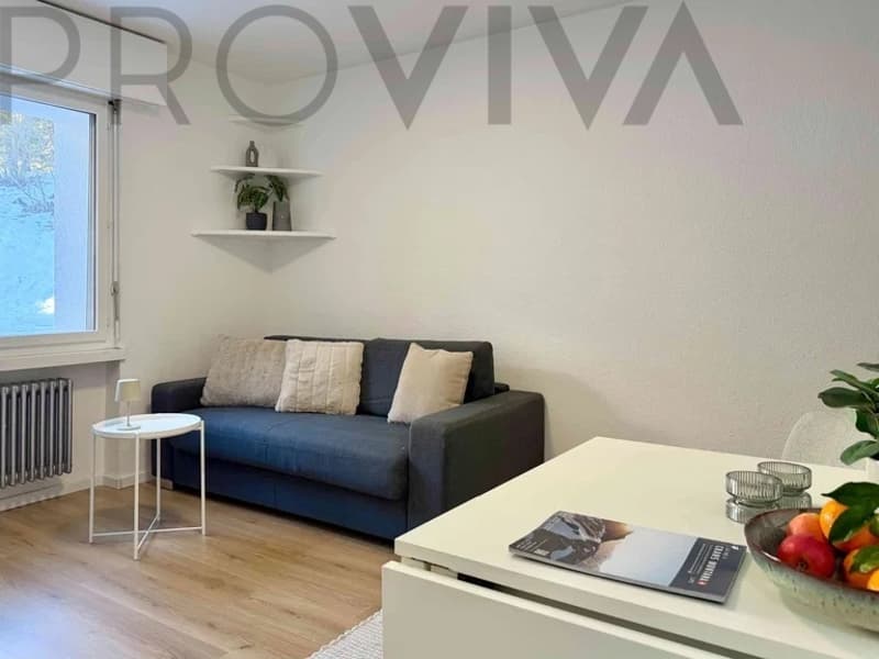 2,5-Zimmer-Wohnung im Skigebiet, top renoviert (4)