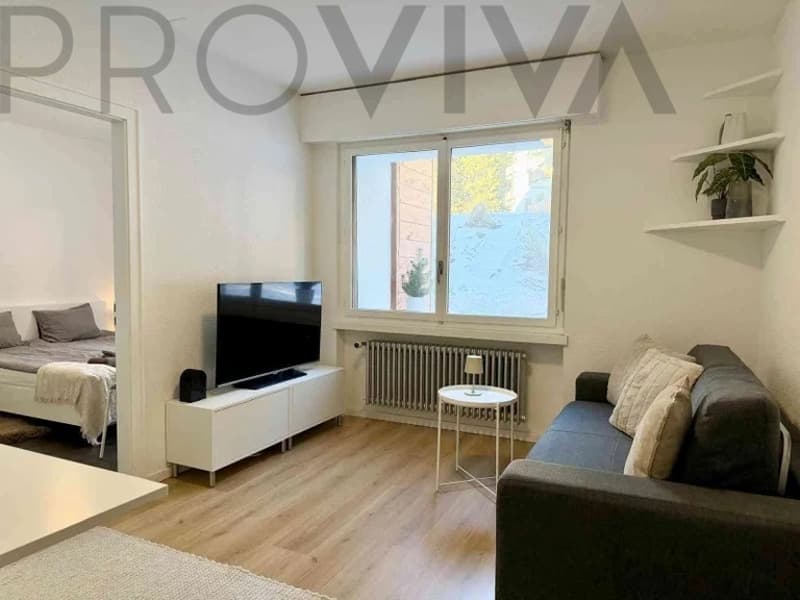 2,5-Zimmer-Wohnung im Skigebiet, top renoviert (5)