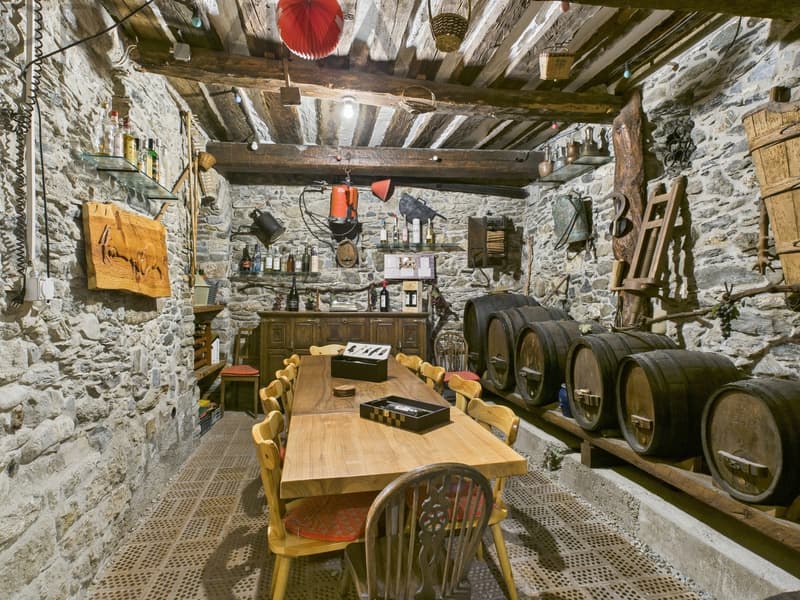 Schönes Mehrfamilienhaus mit 3 Wohnungen im Herzen von Chalais (2)