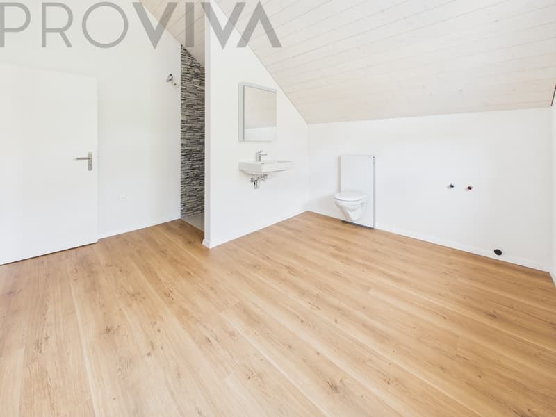 Modernes neues Haus mit grosszügigem Aussenbereich und viel Platz (8)