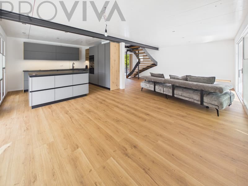 Modernes neues Haus mit grosszügigem Aussenbereich und viel Platz (1)
