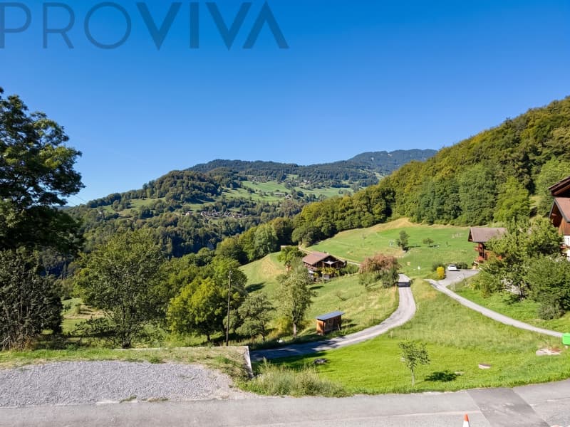 Aussicht / Vue / View / Panorama