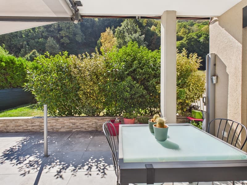Magnifique terrasse et à proximité de la forêt (1)