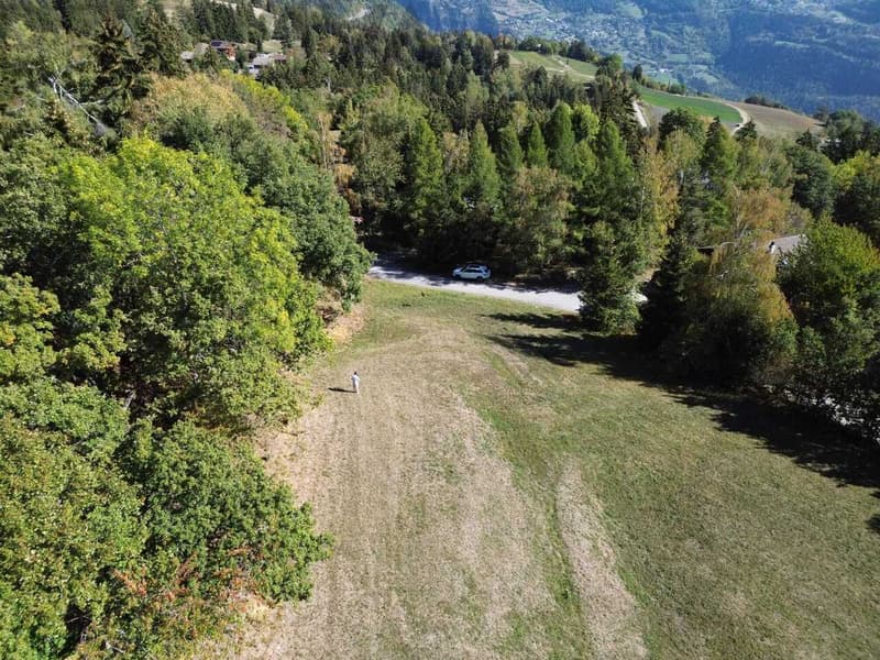 Bauland von 3'279 m² in Arbaz - ruhig, Aussicht, Südausrichtung (3)