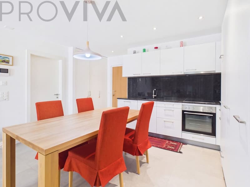 27.5 m² Terrasse im Herzen von Sierre (4)