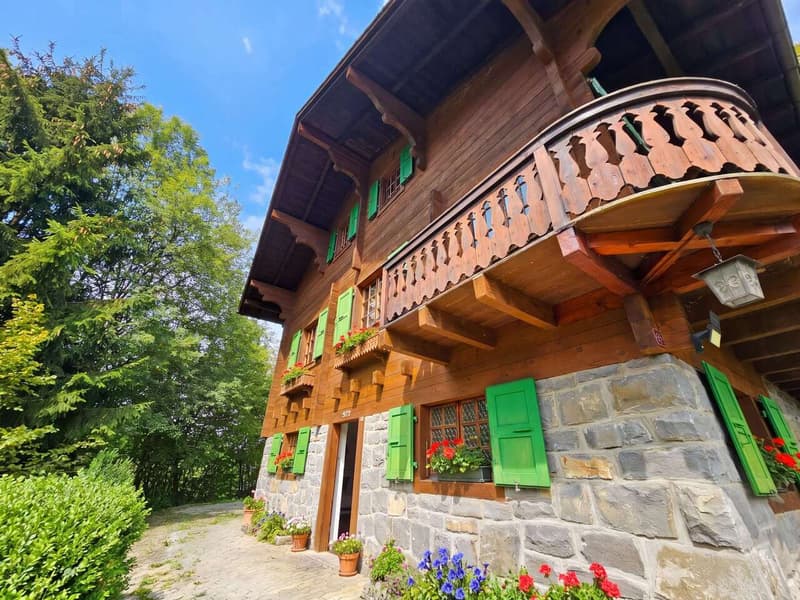 Ein charmantes Chalet in idyllischer Lage am Waldrand - Ruhe und Priva (1)
