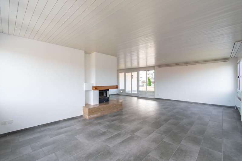 Grosszügige 5.5 Zimmer-Wohnung mit Terrasse (1)