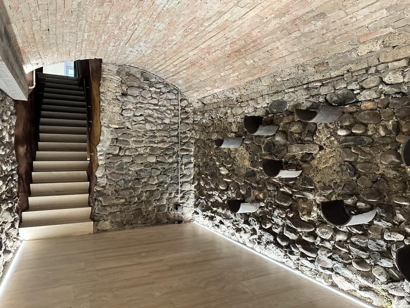 Attractive Showroom/Office in prime location Altstadt Wil SG (5)