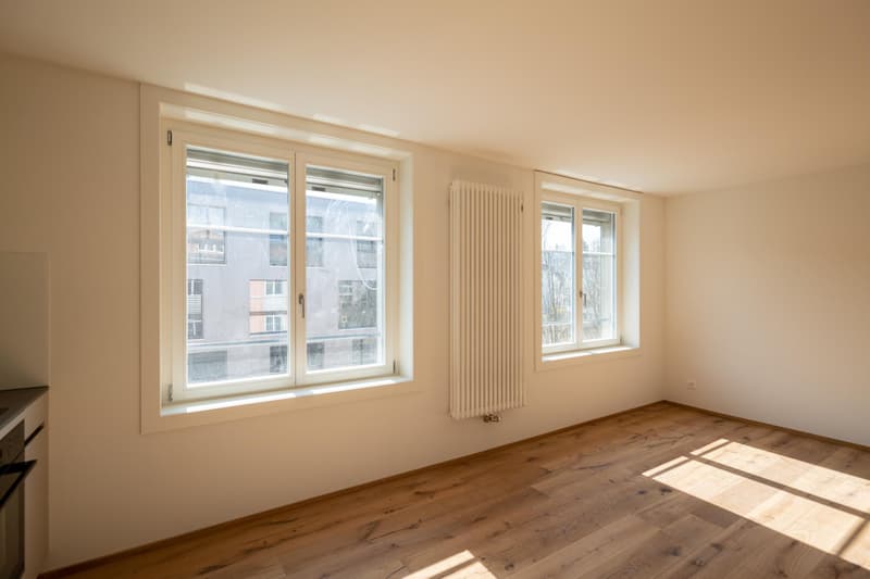 Moderne Studiowohnung mit Altbaucharme (7)