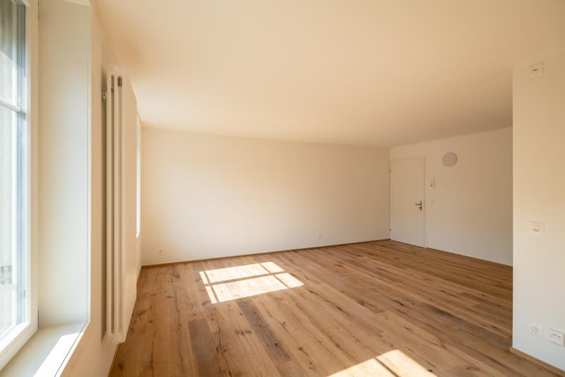 Moderne Studiowohnung mit Altbaucharme (9)