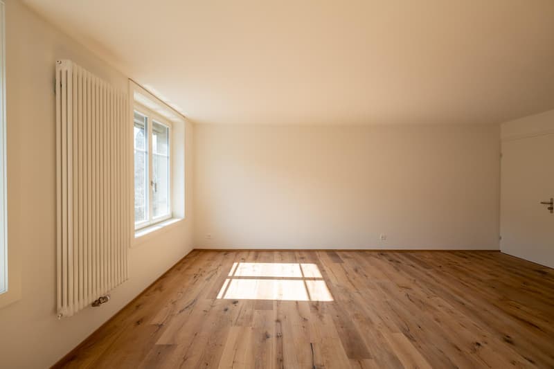 Moderne Studiowohnung mit Altbaucharme (8)
