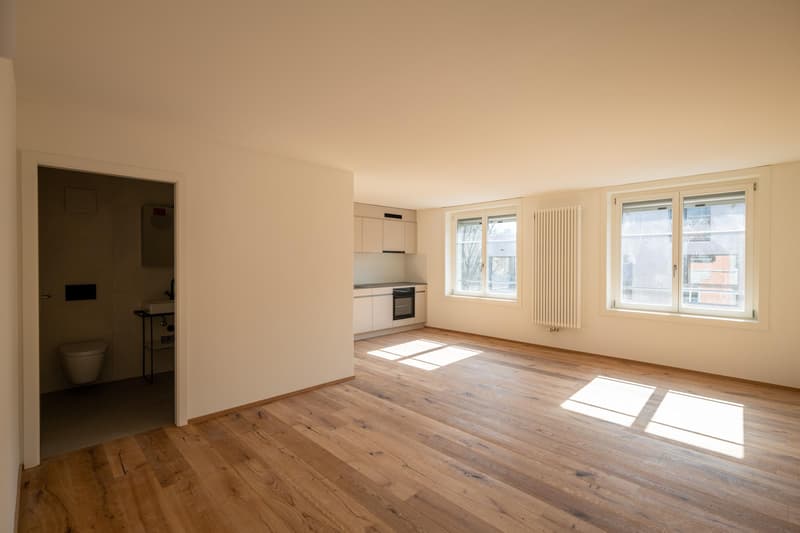 Moderne Studiowohnung mit Altbaucharme (11)